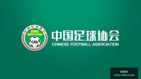 韩媒深度报道：徐正源如何化险为夷，提前完成铁人队保级
